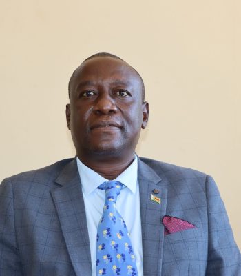 Director ICT