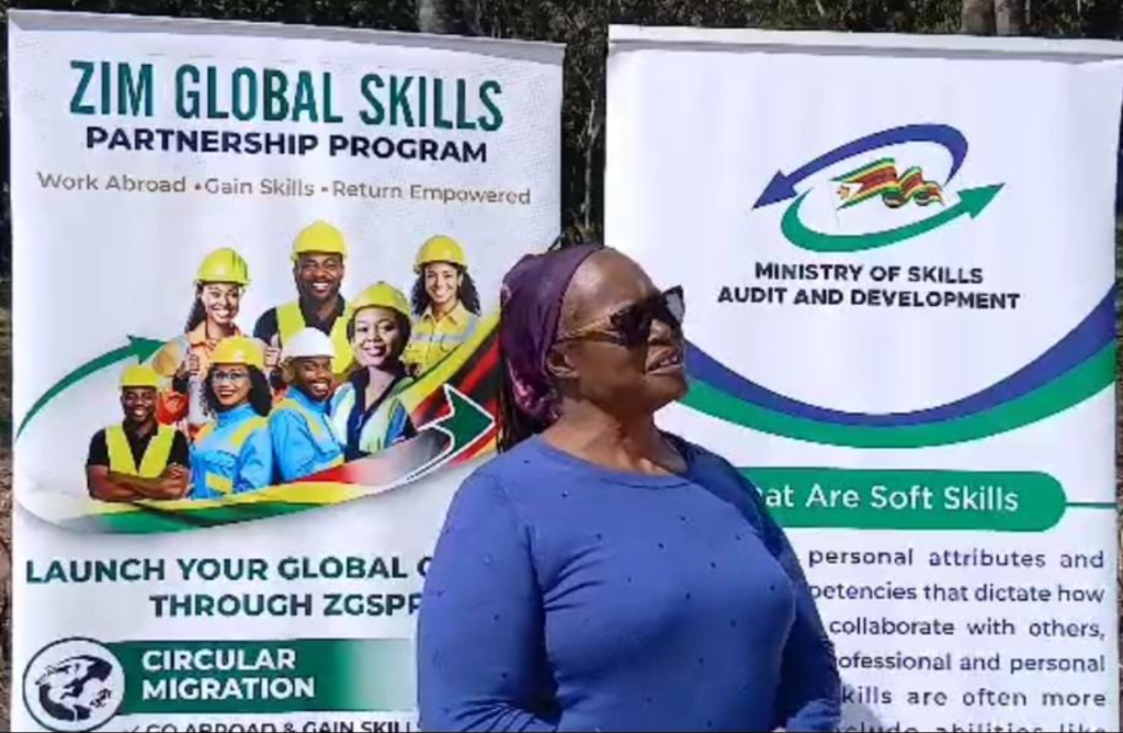 Govt builds 15 000-strong databank of skills returnees as ZGSPP takes root